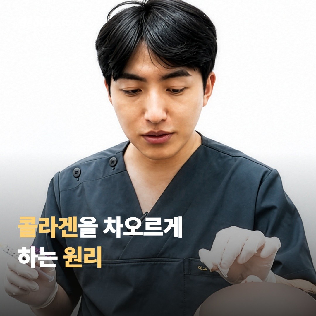 쥬베룩이 콜라겐을 차오르게 하는 원리