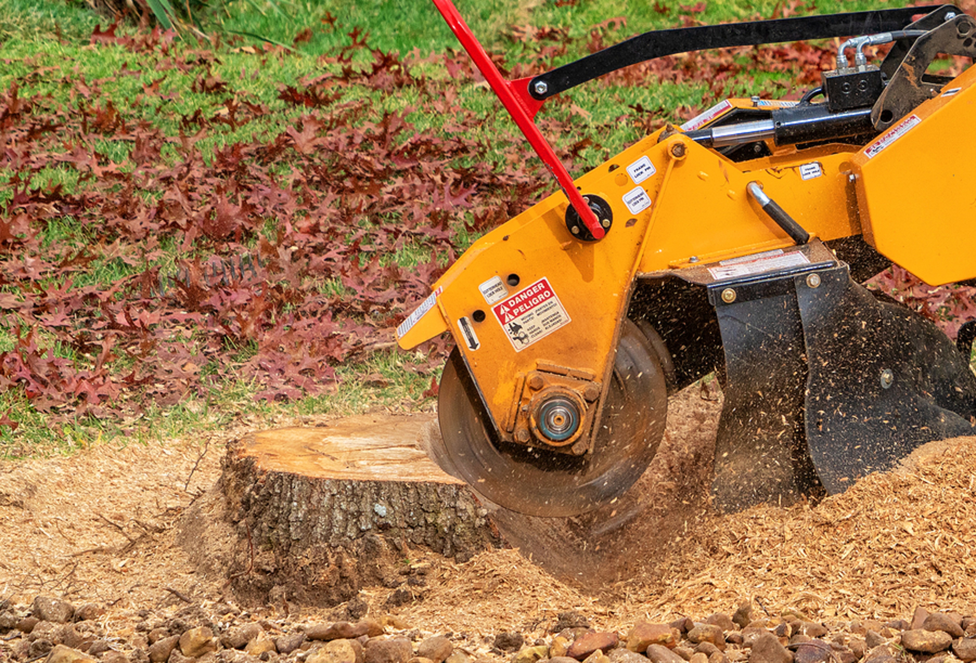 Stump Removal and Grinding