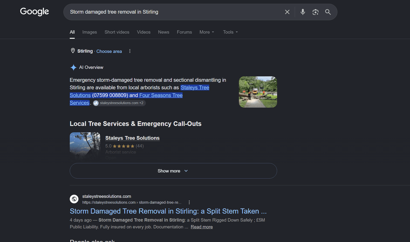 Google's AI Overview for storm damaged tree removal in Stirling naming Staleys Tree Solutions first, with their own job write-up ranking below it