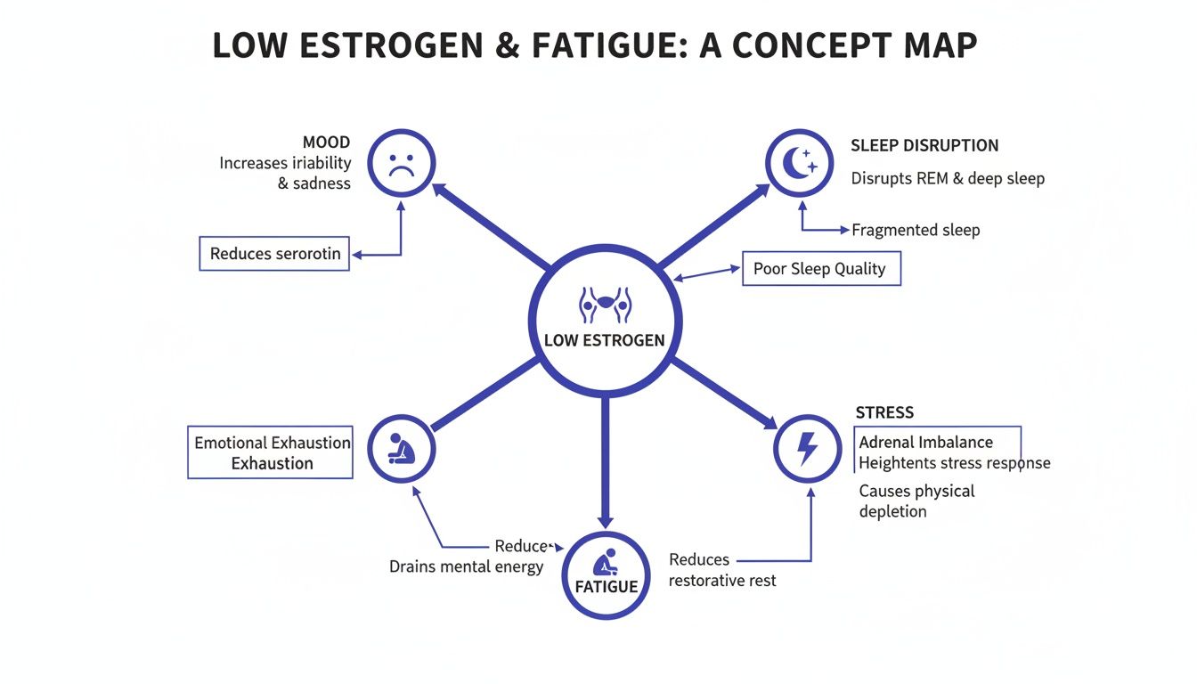 A concept map illustrating how low estrogen leads to fatigue through mood changes, sleep disruption, and stress.