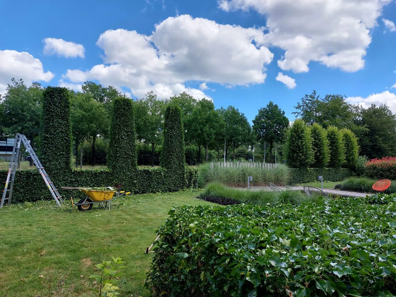 Grote tuin met strak geknipte hagen, vijver, grasmaaier en kruiwagen tijdens tuinonderhoud in Friesland