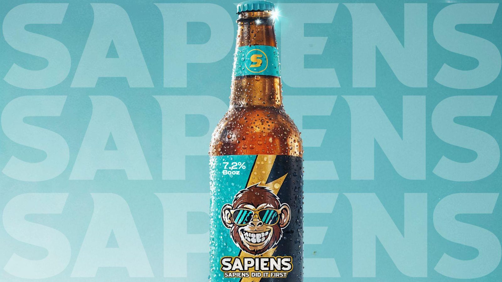 Sapiens brand book page 1
