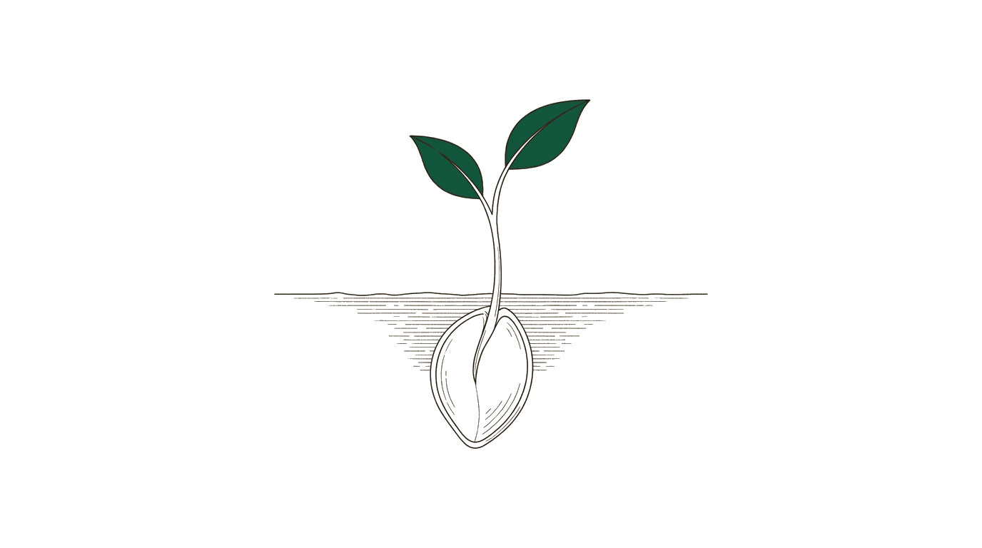 Procurement Portals Compared: Which Procurement Portal Fits Your Company? — sprouting seed illustration