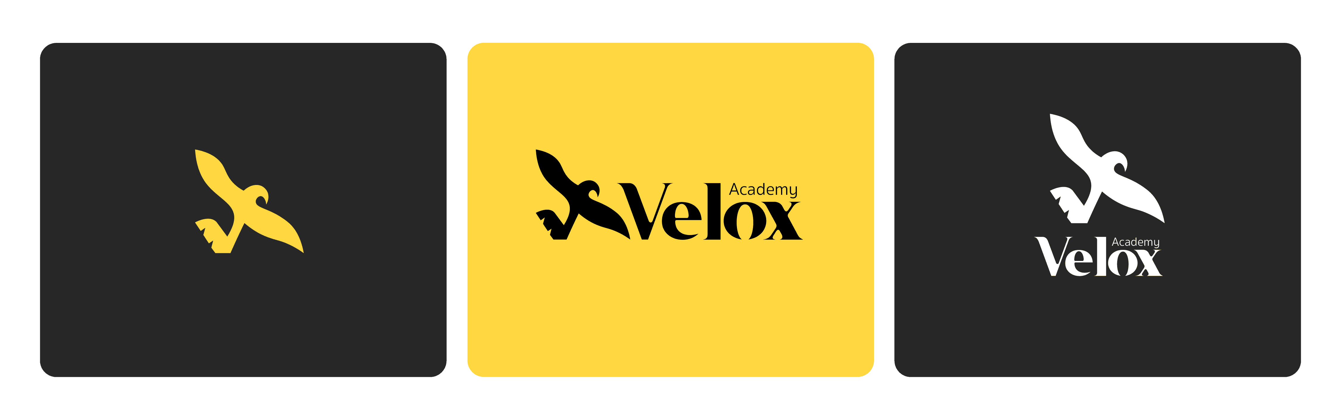 Bold, modern, and instantly recognizable