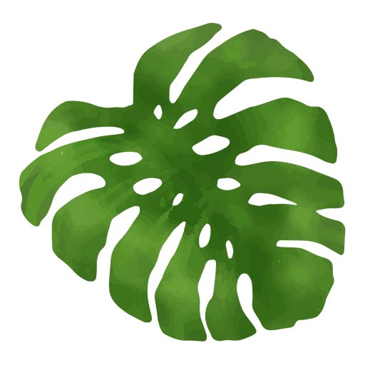 leaf png