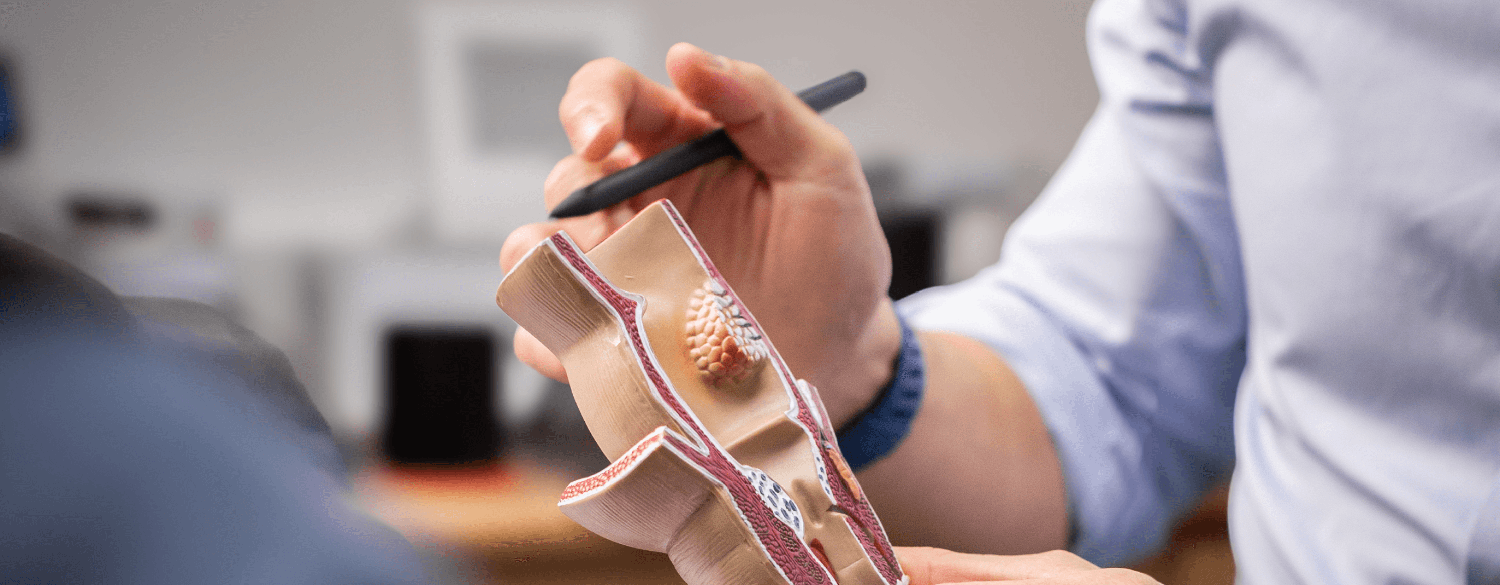 Dr Loong explaining using a model.