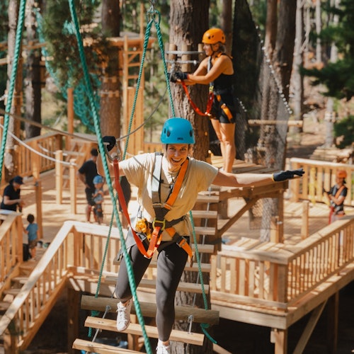 樹梢冒險：馬朱拉松樹票