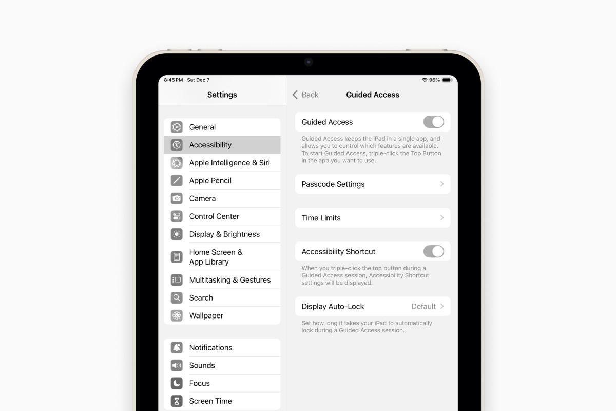 Guided Access feature in iPad settings