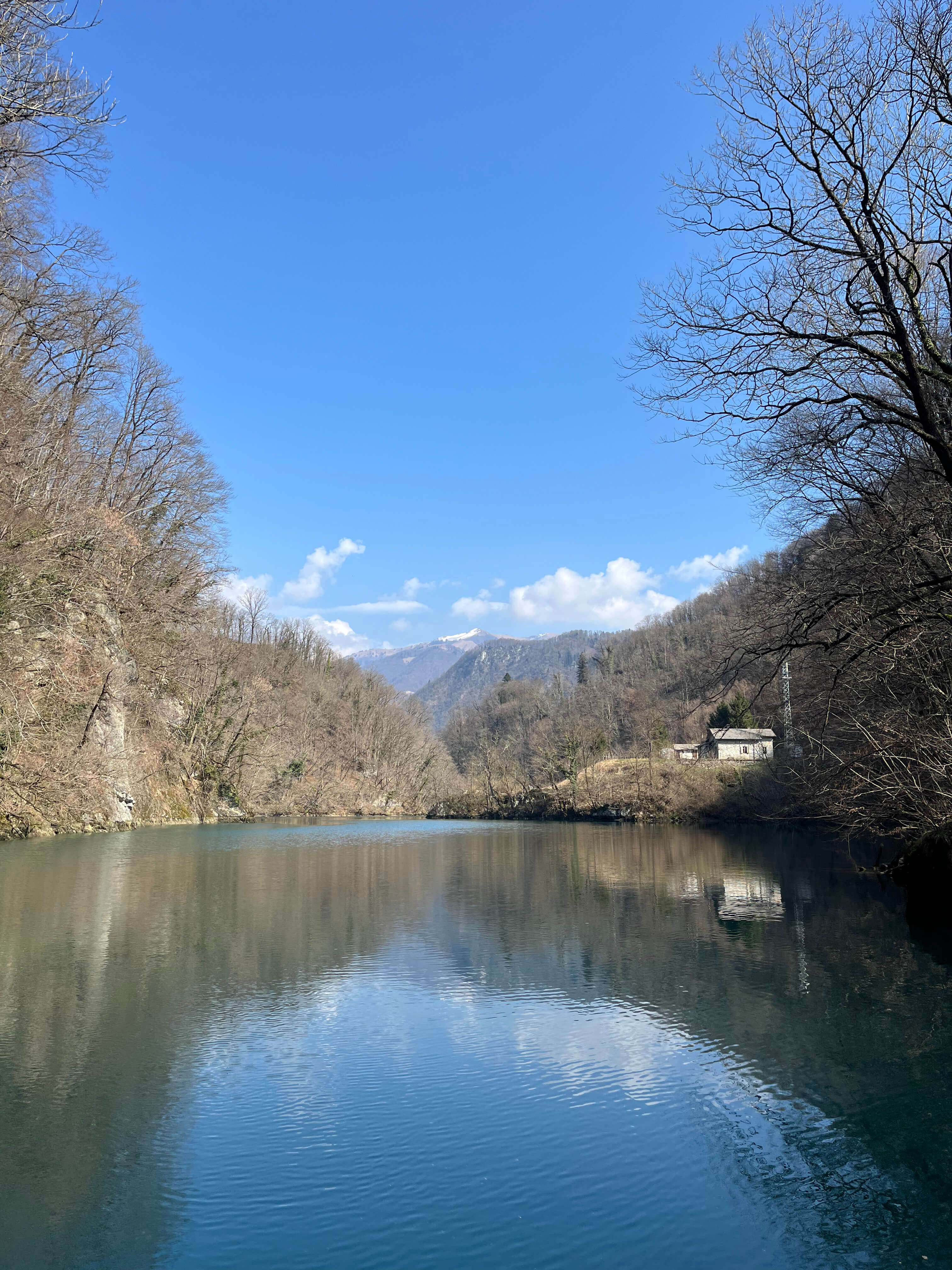 Large marble trout over 80 cm landed during trophy fishing experience in Slovenia