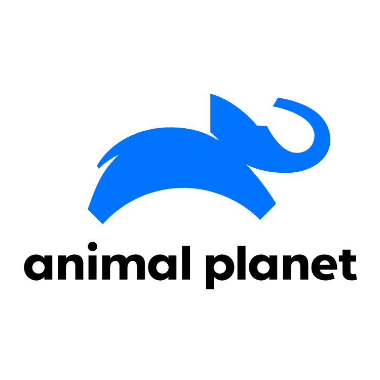 logo animal planet