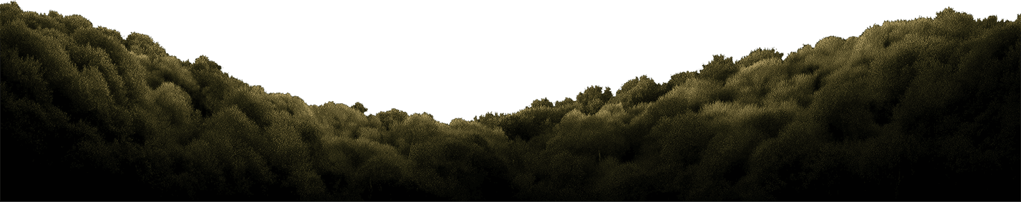Transparent image of grass hills