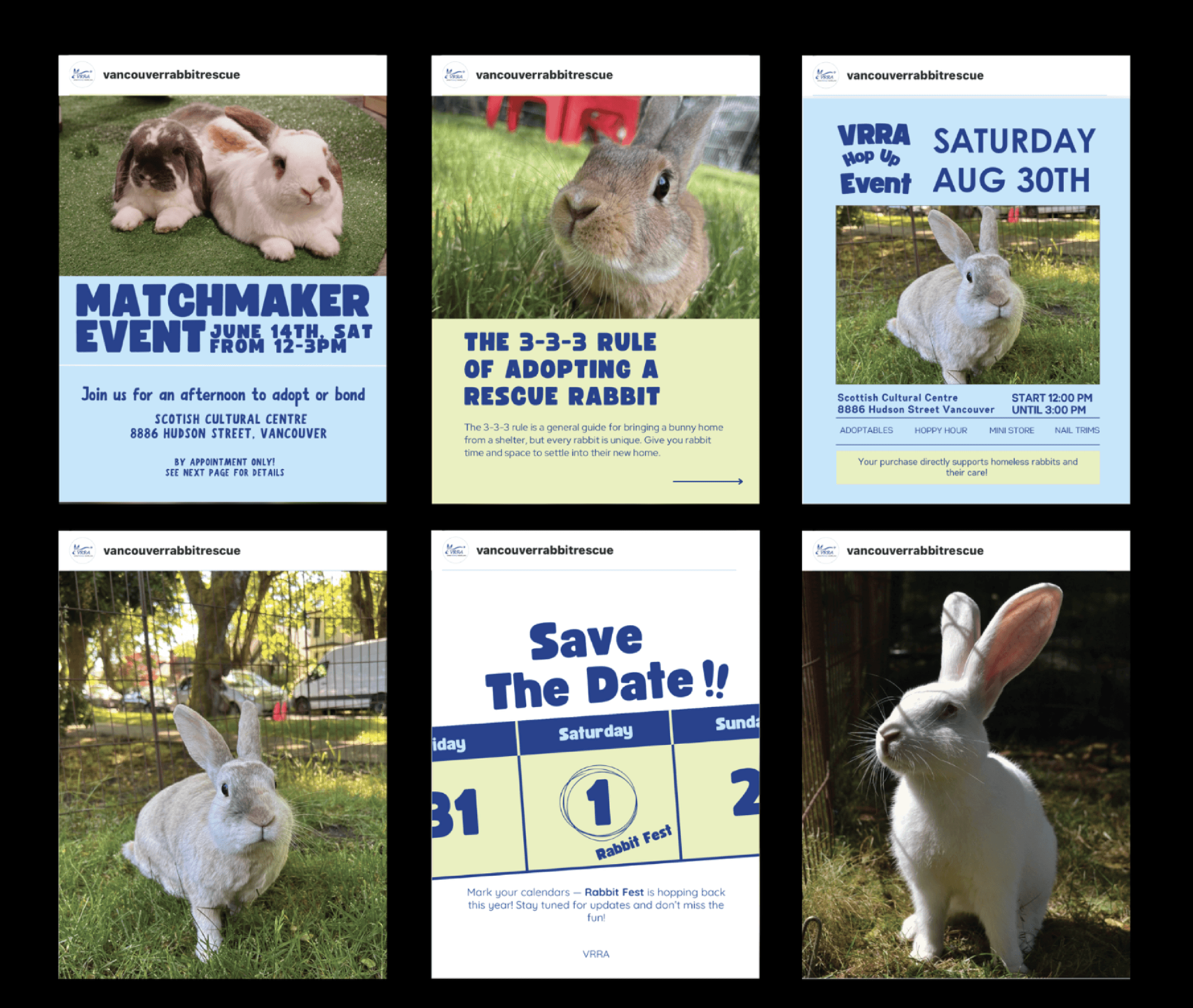 Social Media Layout 2x3