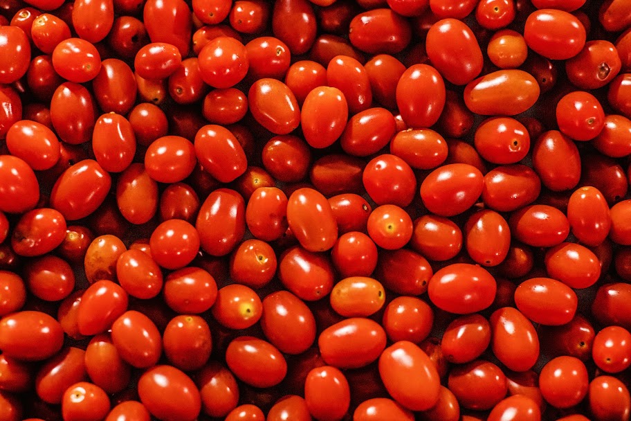 High-quality grape tomatoes freshly harvested from Kentucky Fresh Harvest