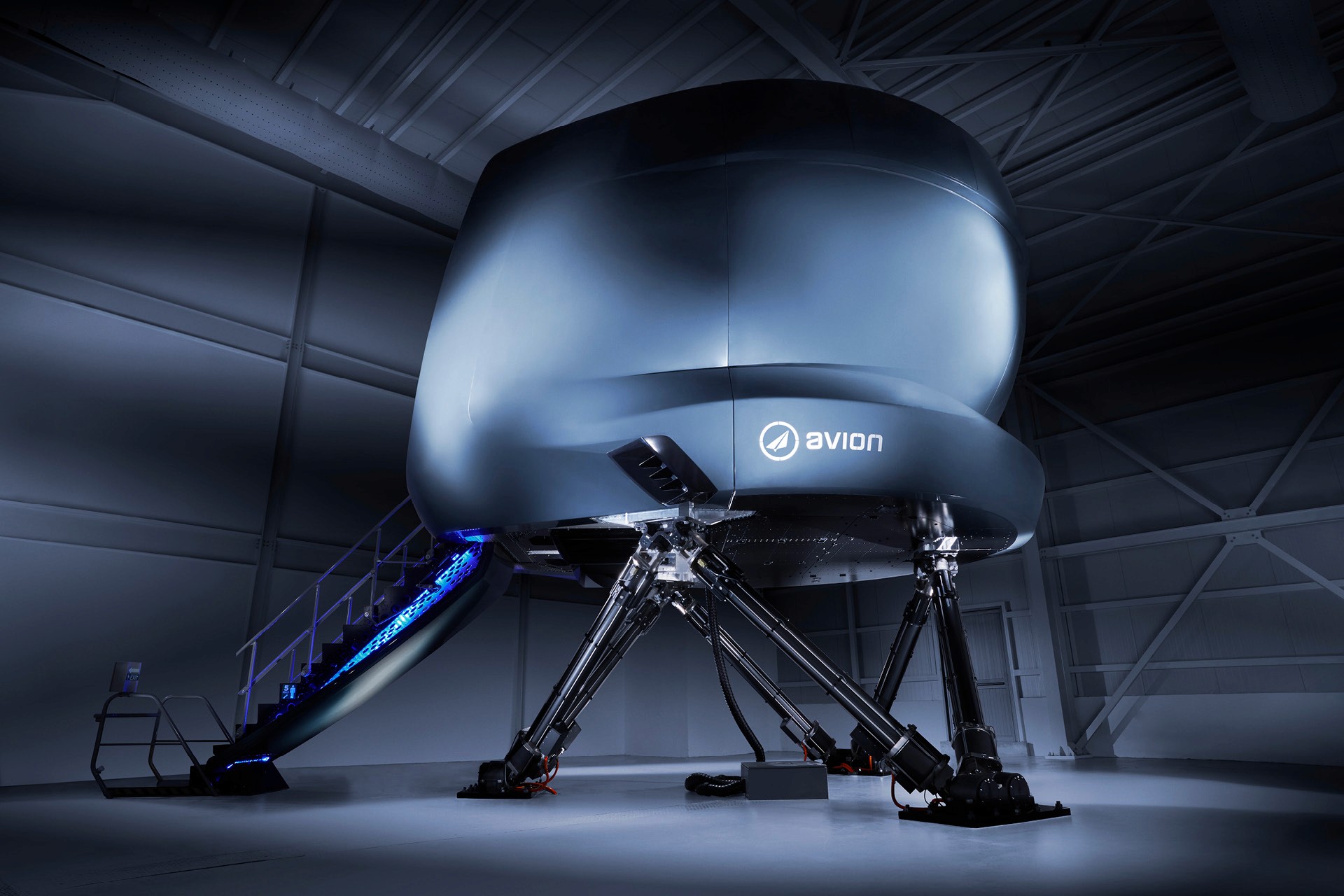 Avion Full Flight Simulator