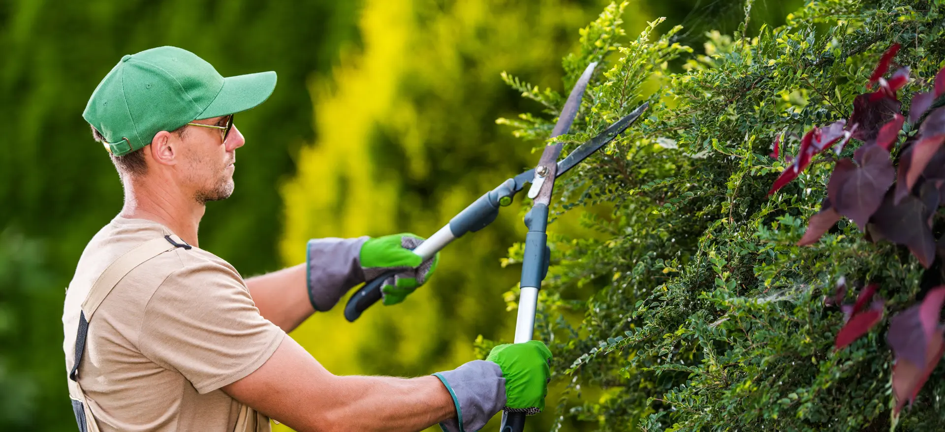 Jardinier paysagiste