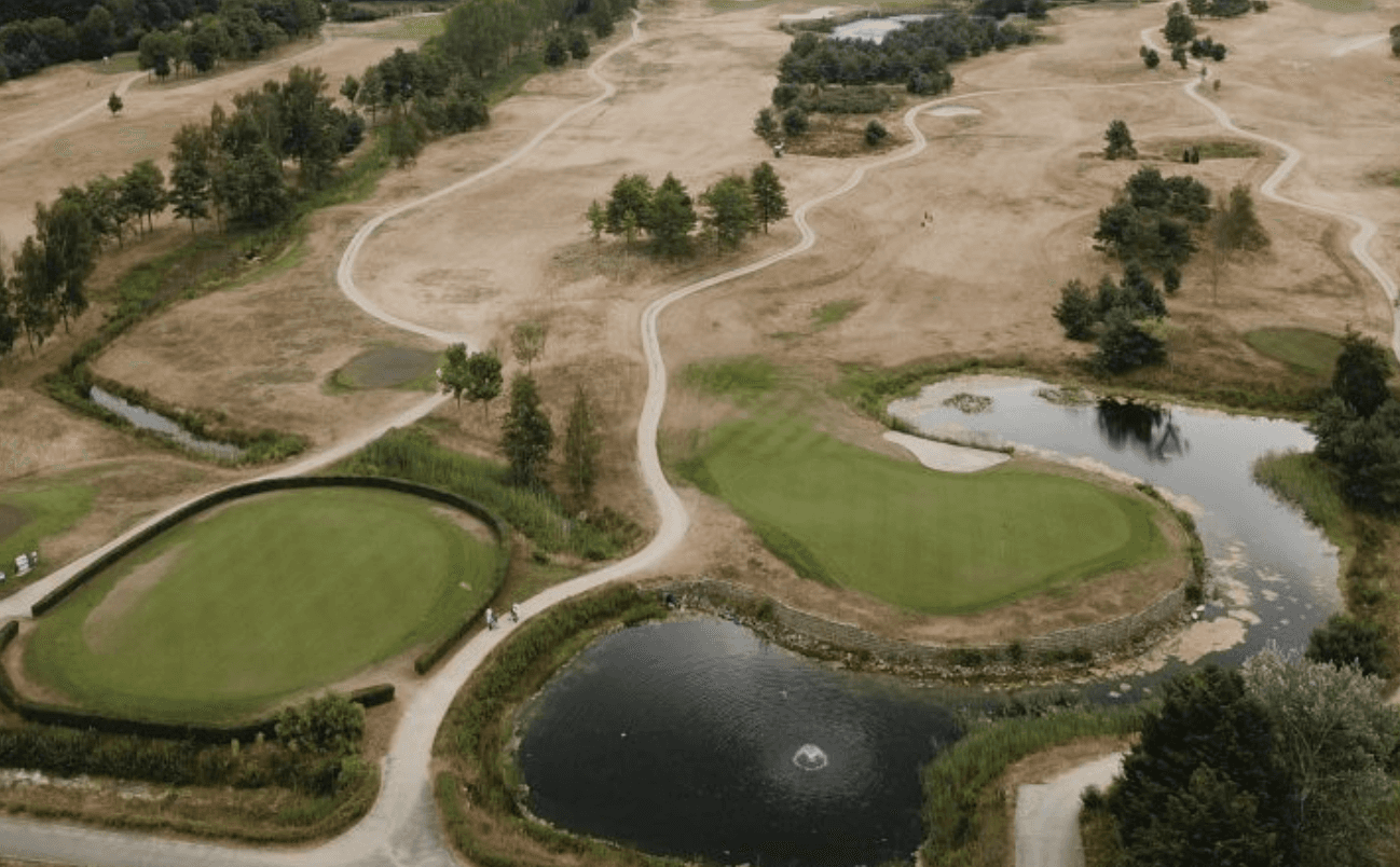 People in the office