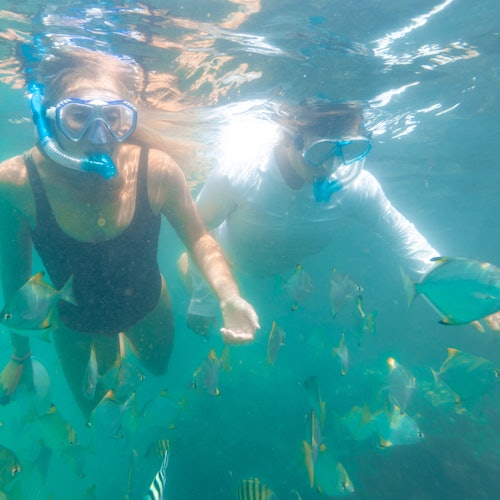 Pag-snorkeling kasama ang Sub-tropical na Isda