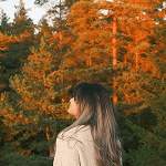 Atsiliepimas apie paslaugas