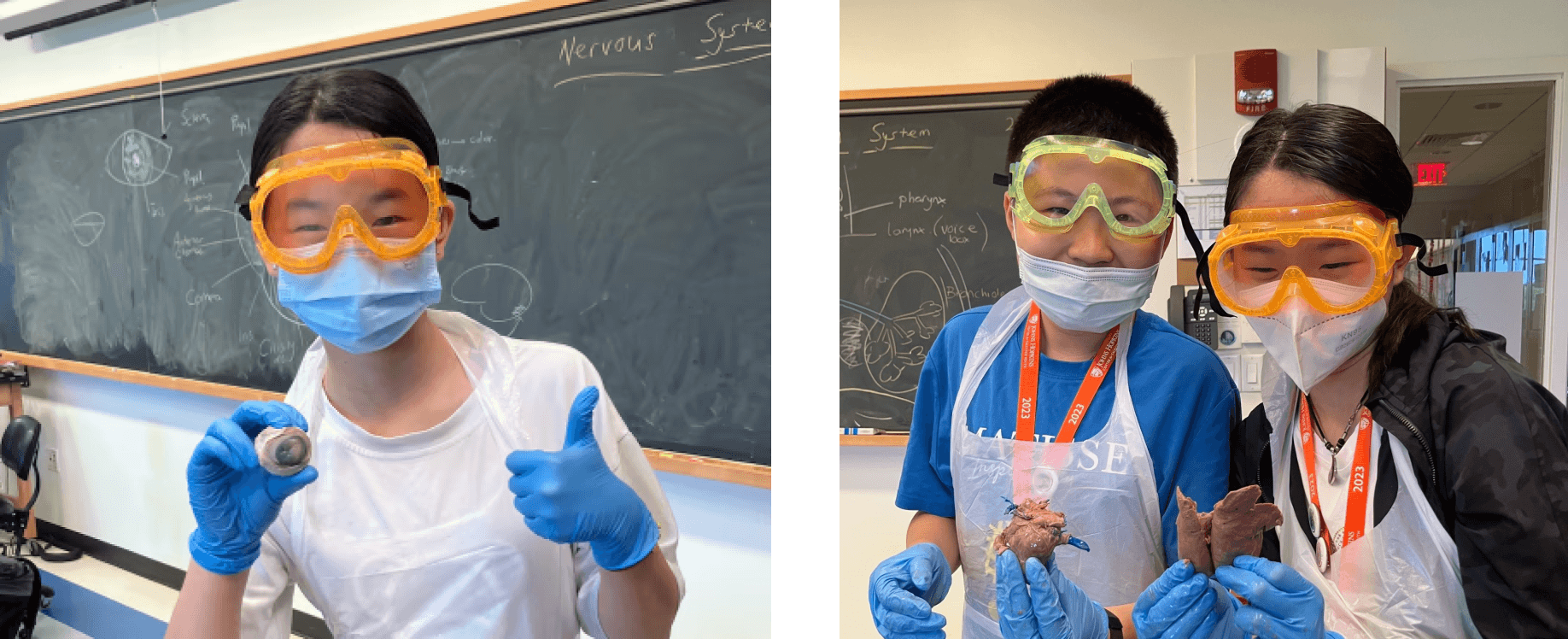 Jolee conducting laboratory experiments with a peer and holding up dissections