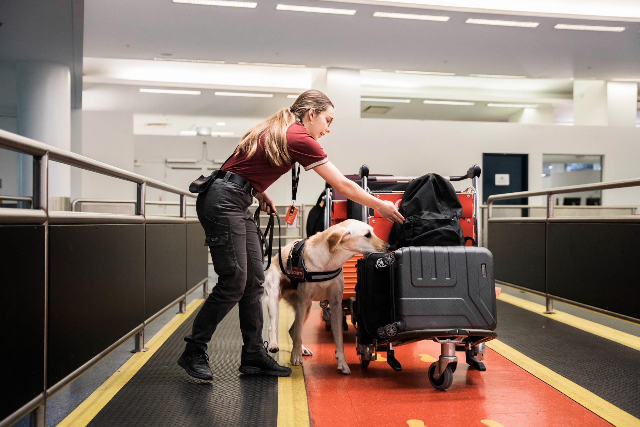 A woman and a dog at an airport