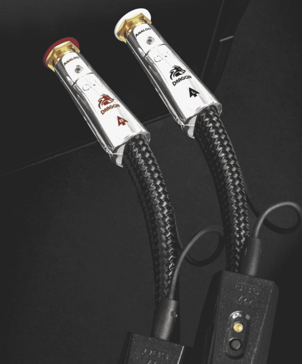 AudioQuest Dragon RCA - zoom - LE STUDIO HIFI