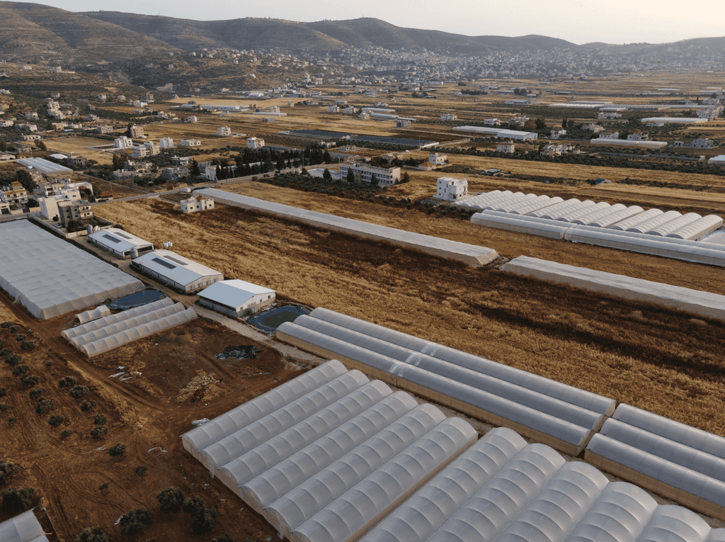 Palestine landscape