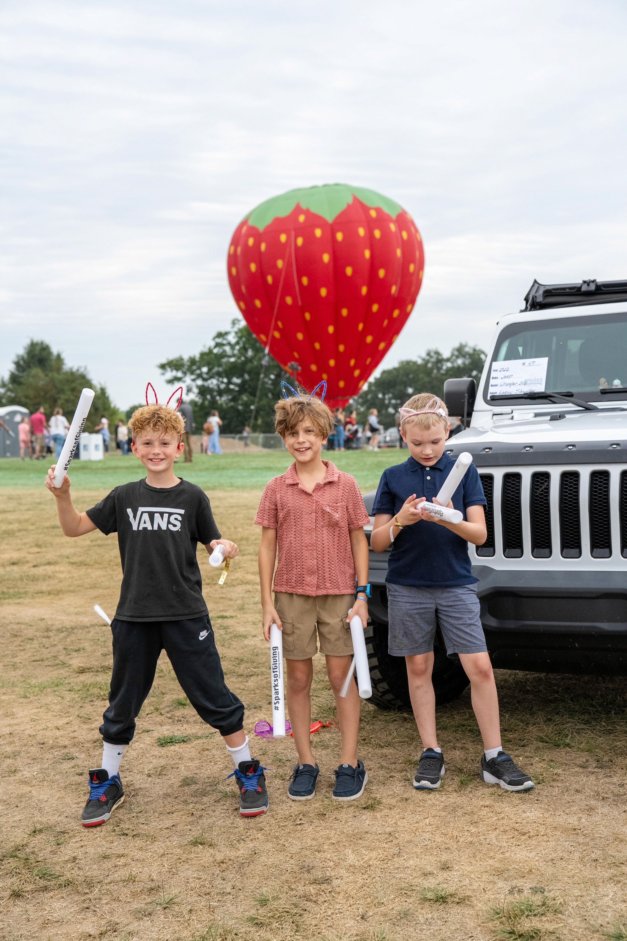 Dom Pérignon vineyards from the sky