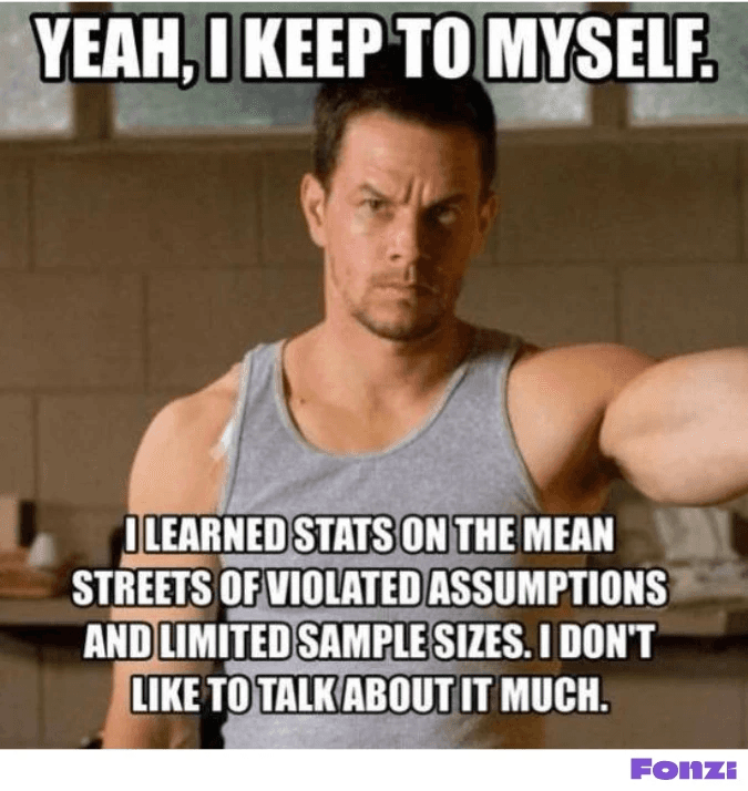 Meme of serious-looking man with caption about learning statistics on the 'mean streets' of violated assumptions and limited sample sizes.