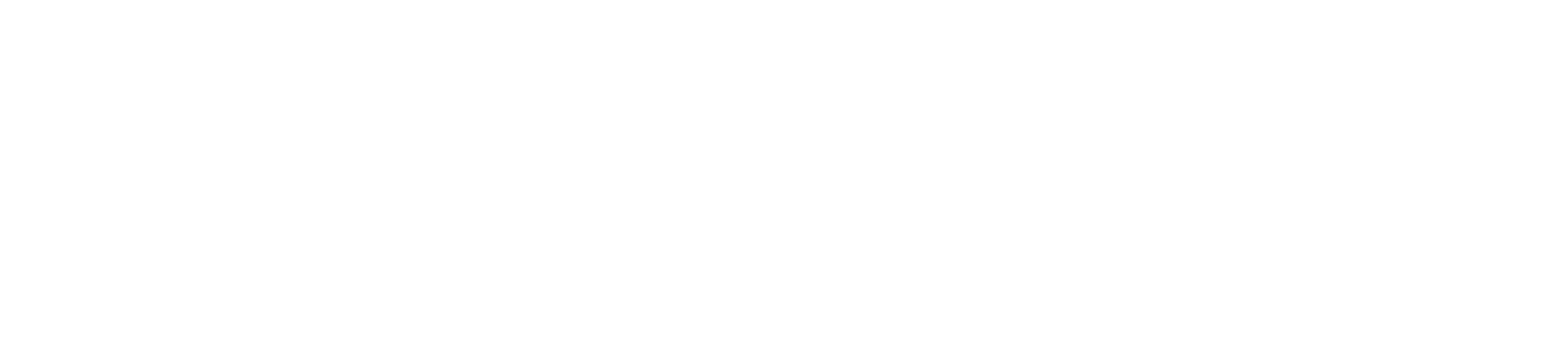 Rise above the disorder logo