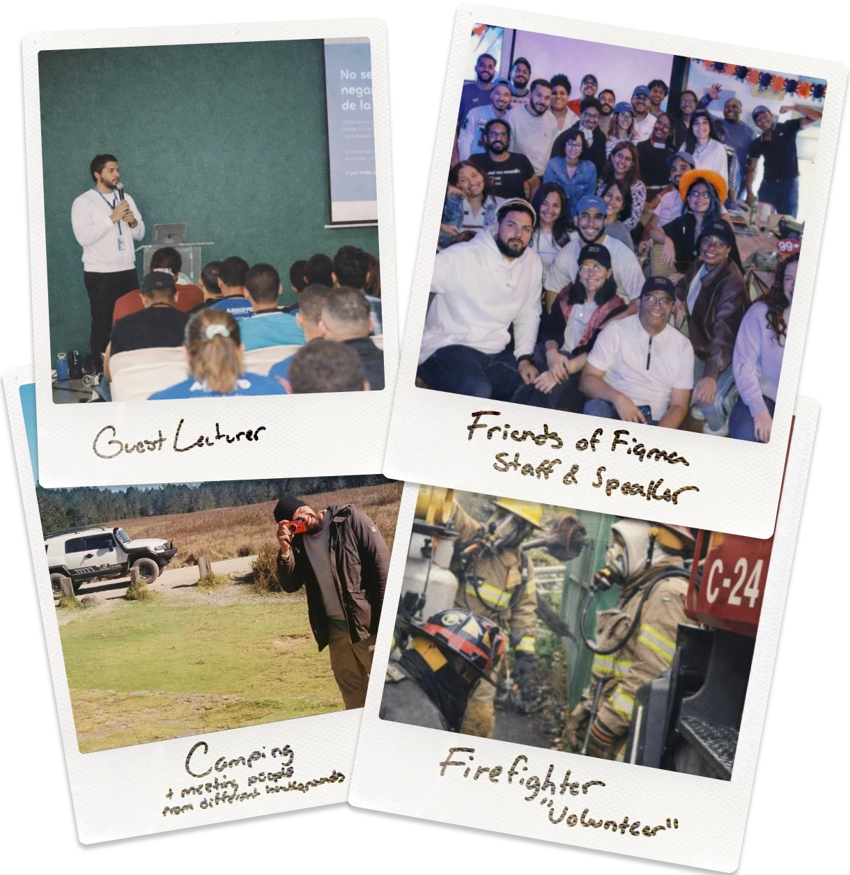 An image of Freelio's project ui