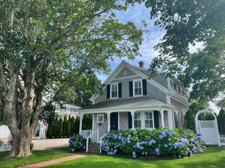 Two-story grey shingled house with black shutters and blue hydrangeas, framed by a large leafy tree on a sunny day.