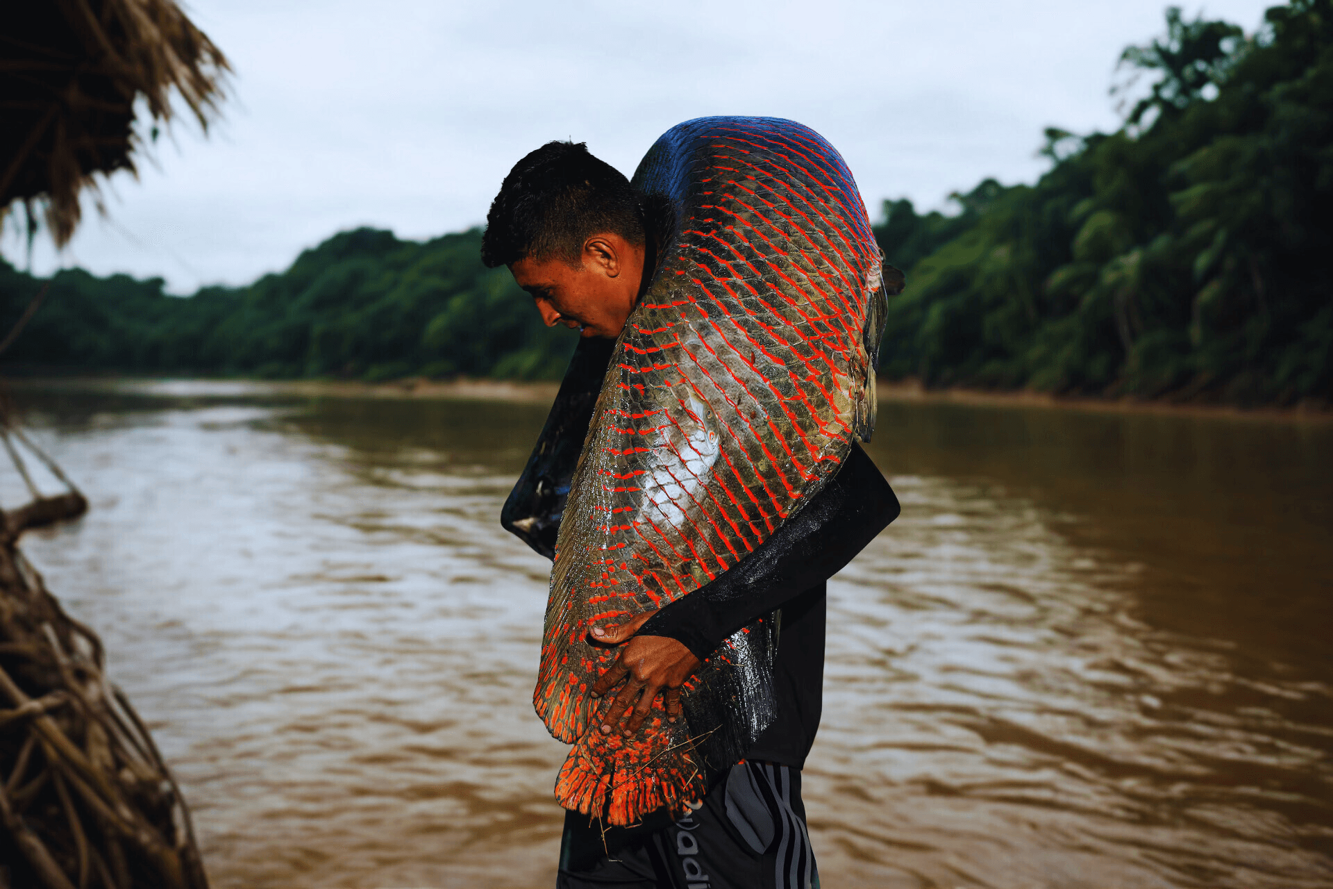 person managing their expenses on a laptop