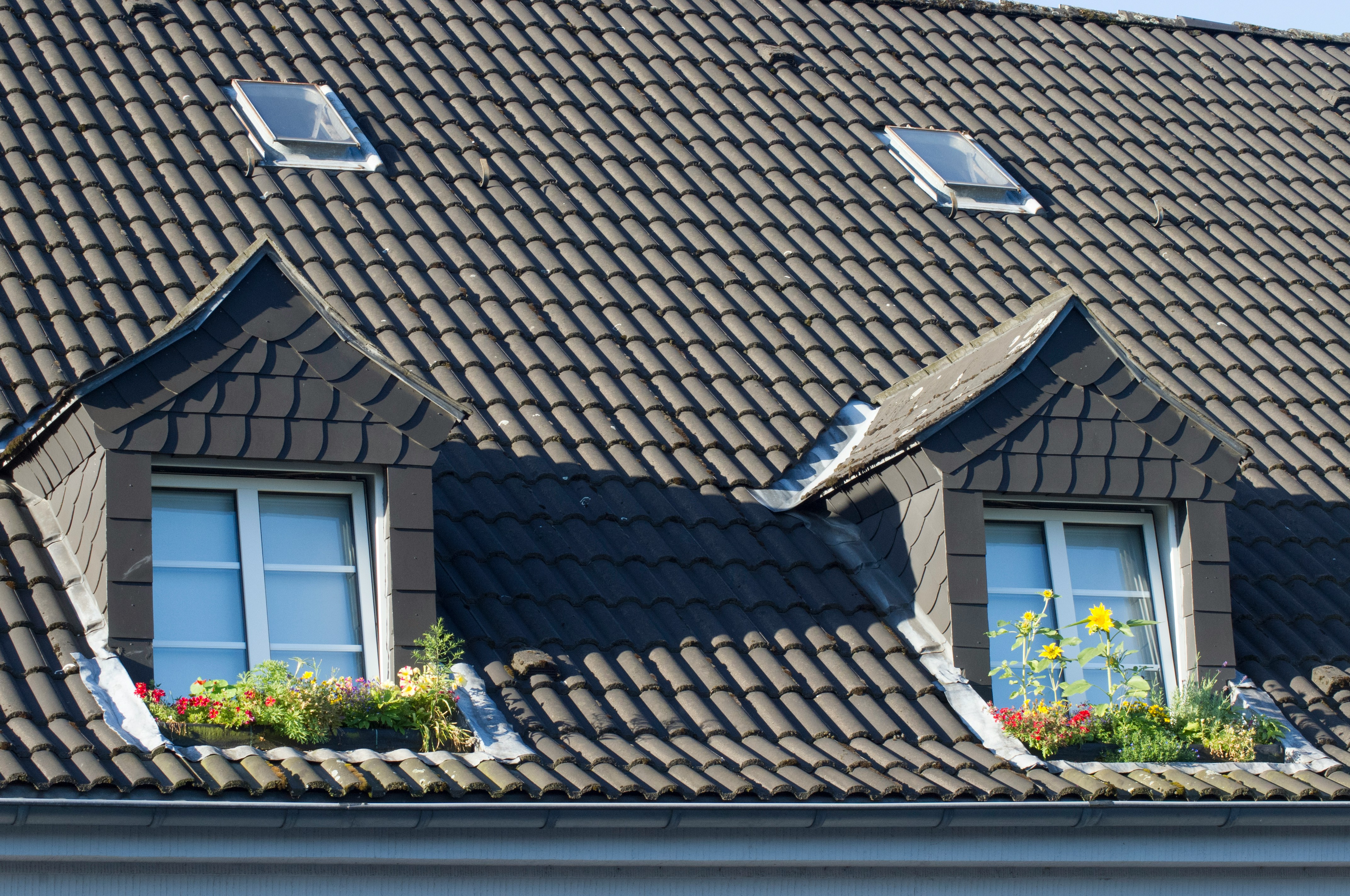 brown roof tiles near green plant during daytime