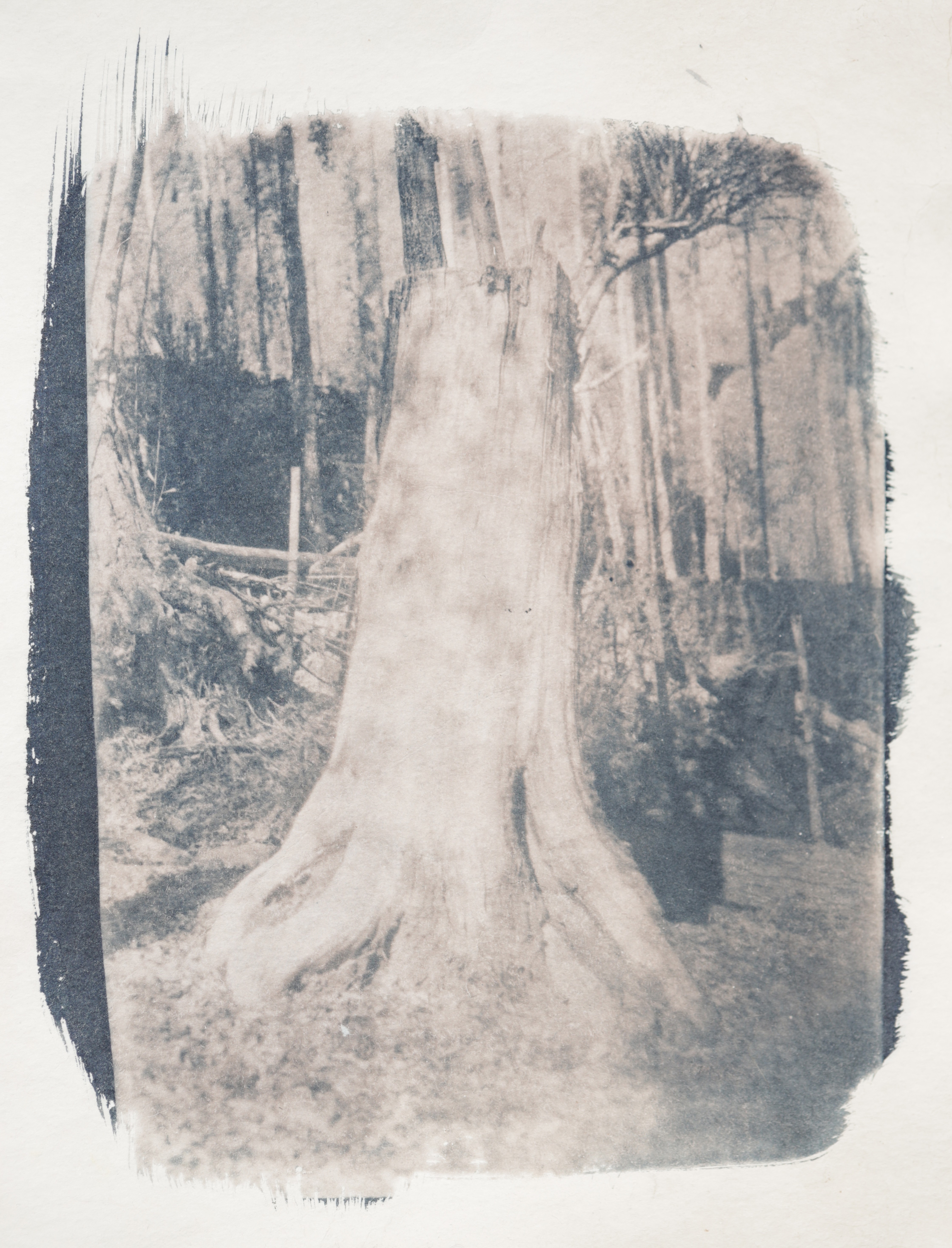 herd of sheep on road painting