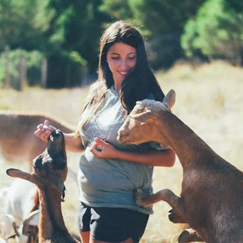 Wild Forest Reserve Foundation