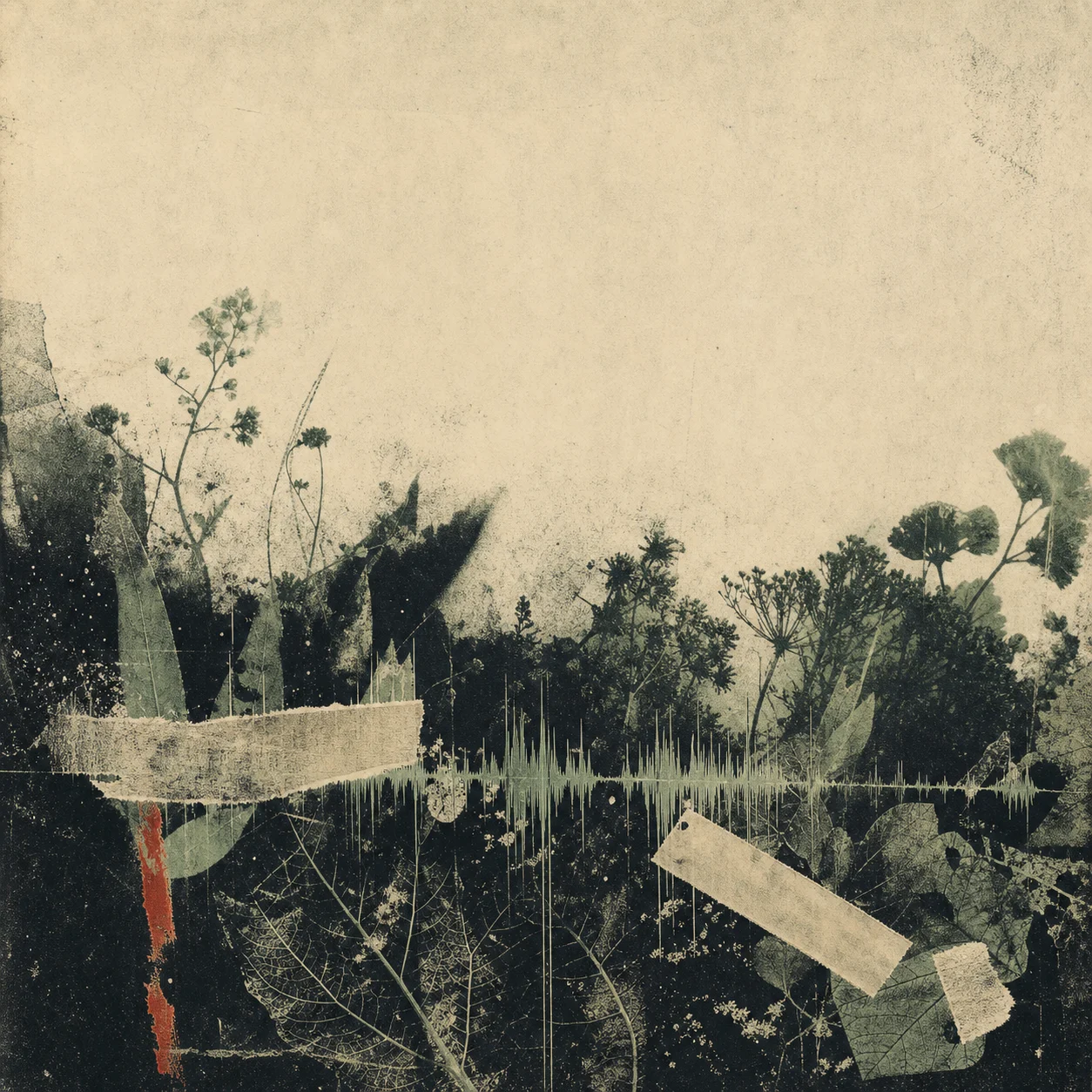 Artwork for Low Frequency Flowers