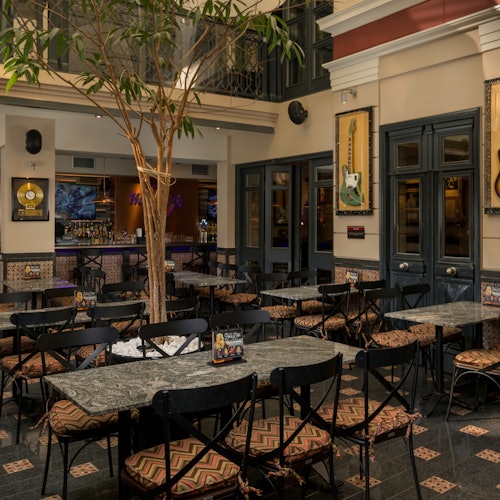 室内咖啡馆里，桌椅空置，中央有一棵树，墙上挂着装裱的唱片和一把吉他。背景处是吧台区域。