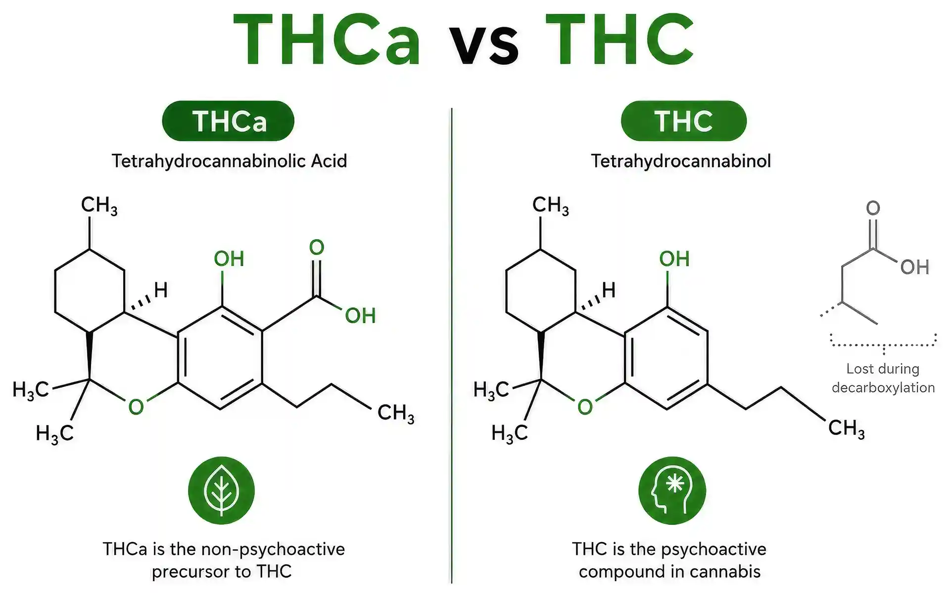 Molecular diagram showing THCa converting to THC by losing a carboxyl group during decarboxylation