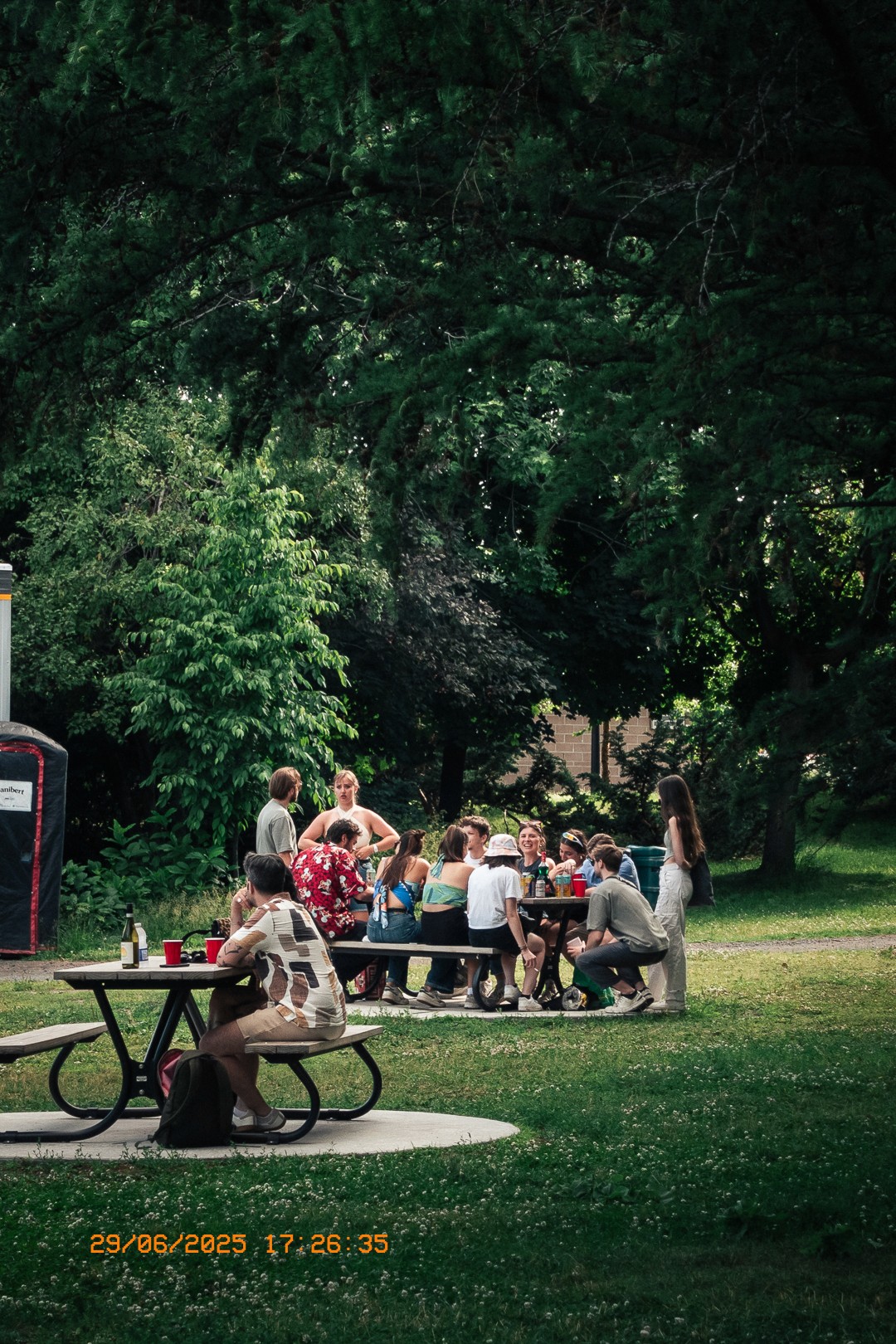 Groupe d'amis autour d'une table de pique-nique dans le Parc Jean Drapeau