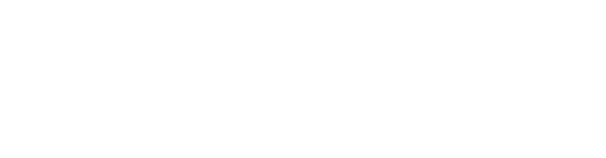 Logo of the Prohyp Gruppe in White