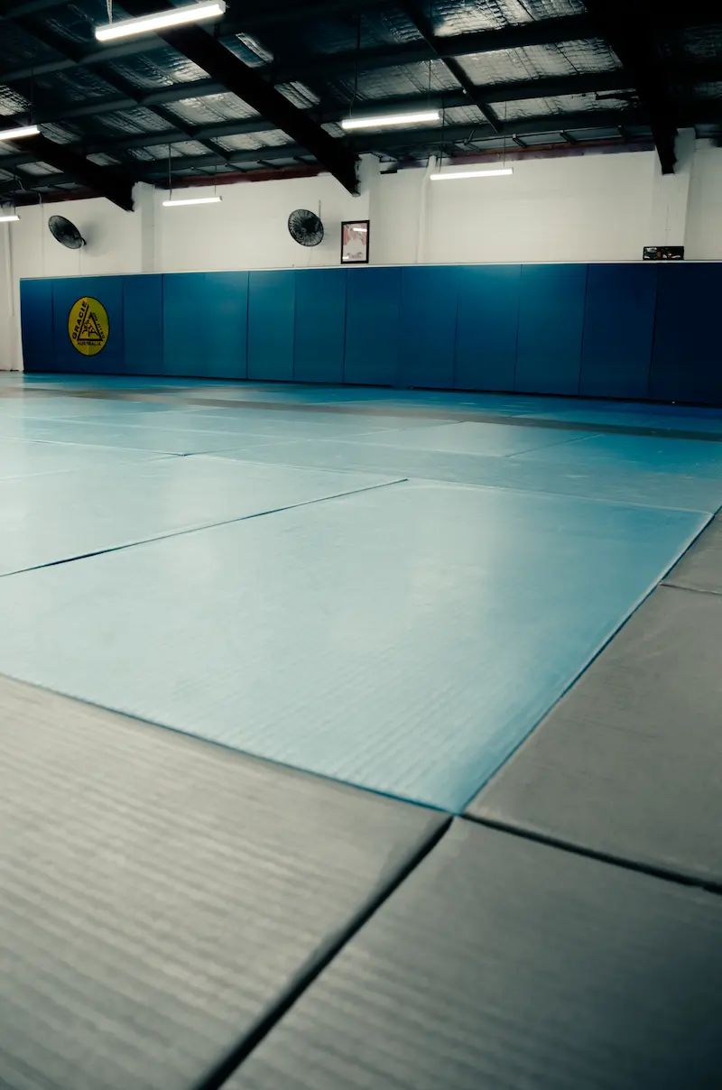 Empty Jiu Jitsu mat area under natural lighting