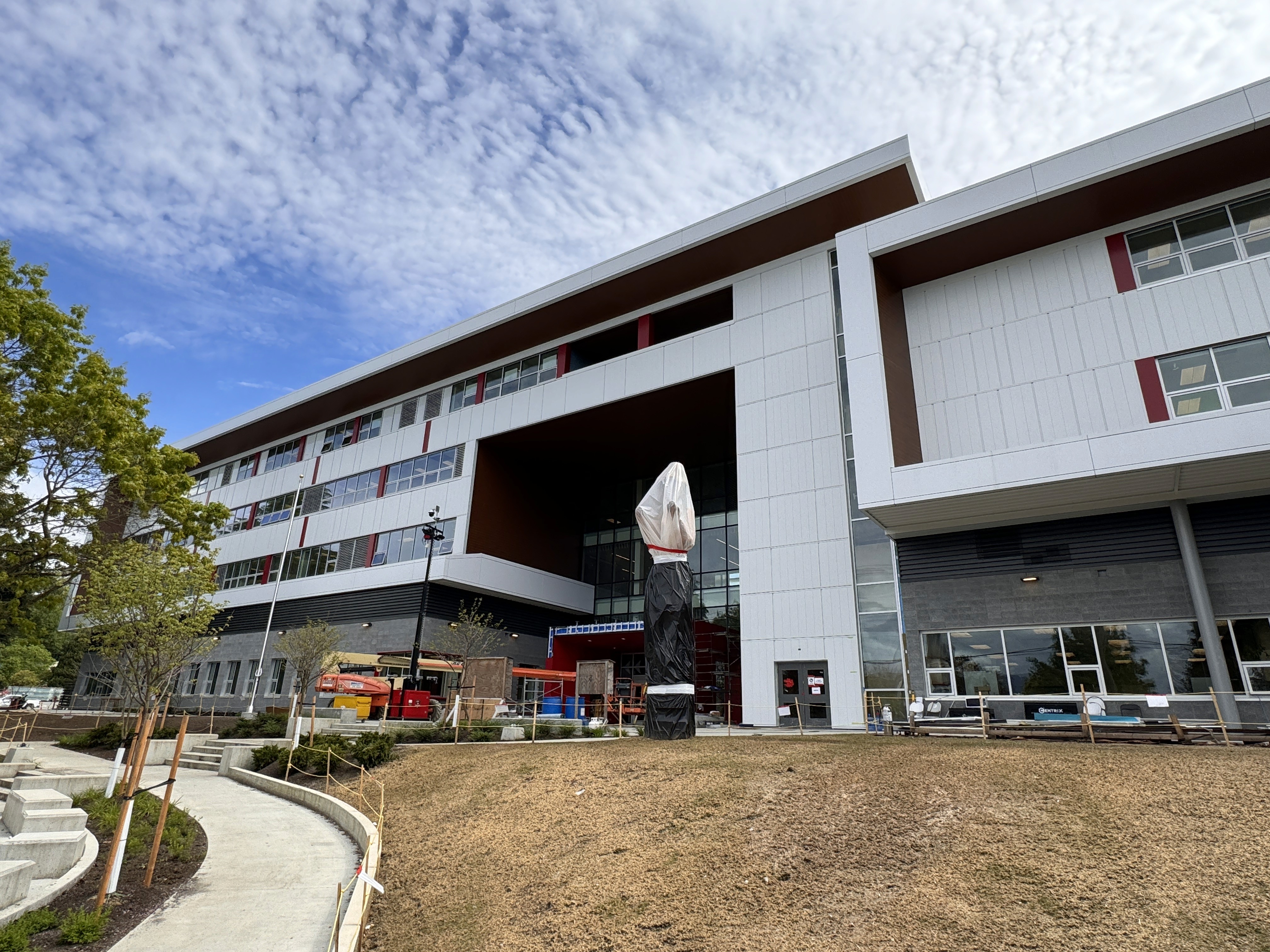 Towers in Lower Mainland project cover image.