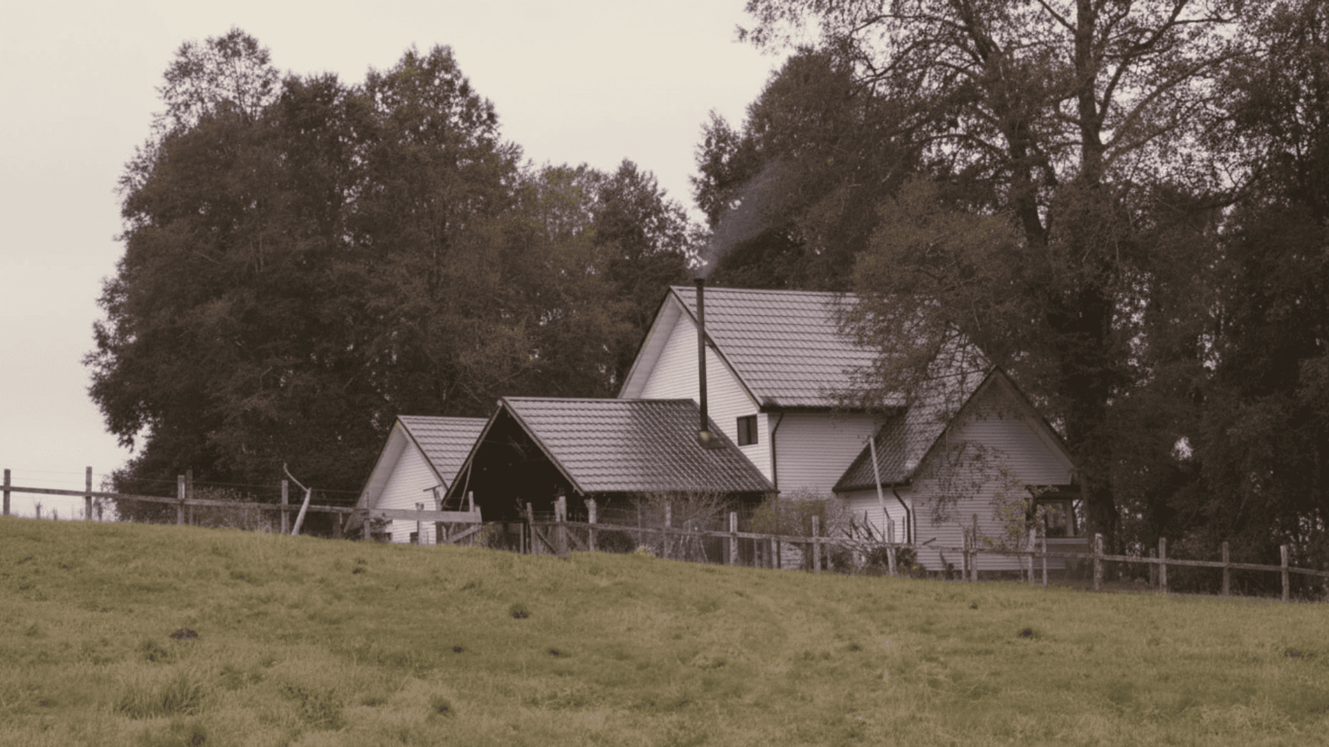 Image of a person sitting in the green fields