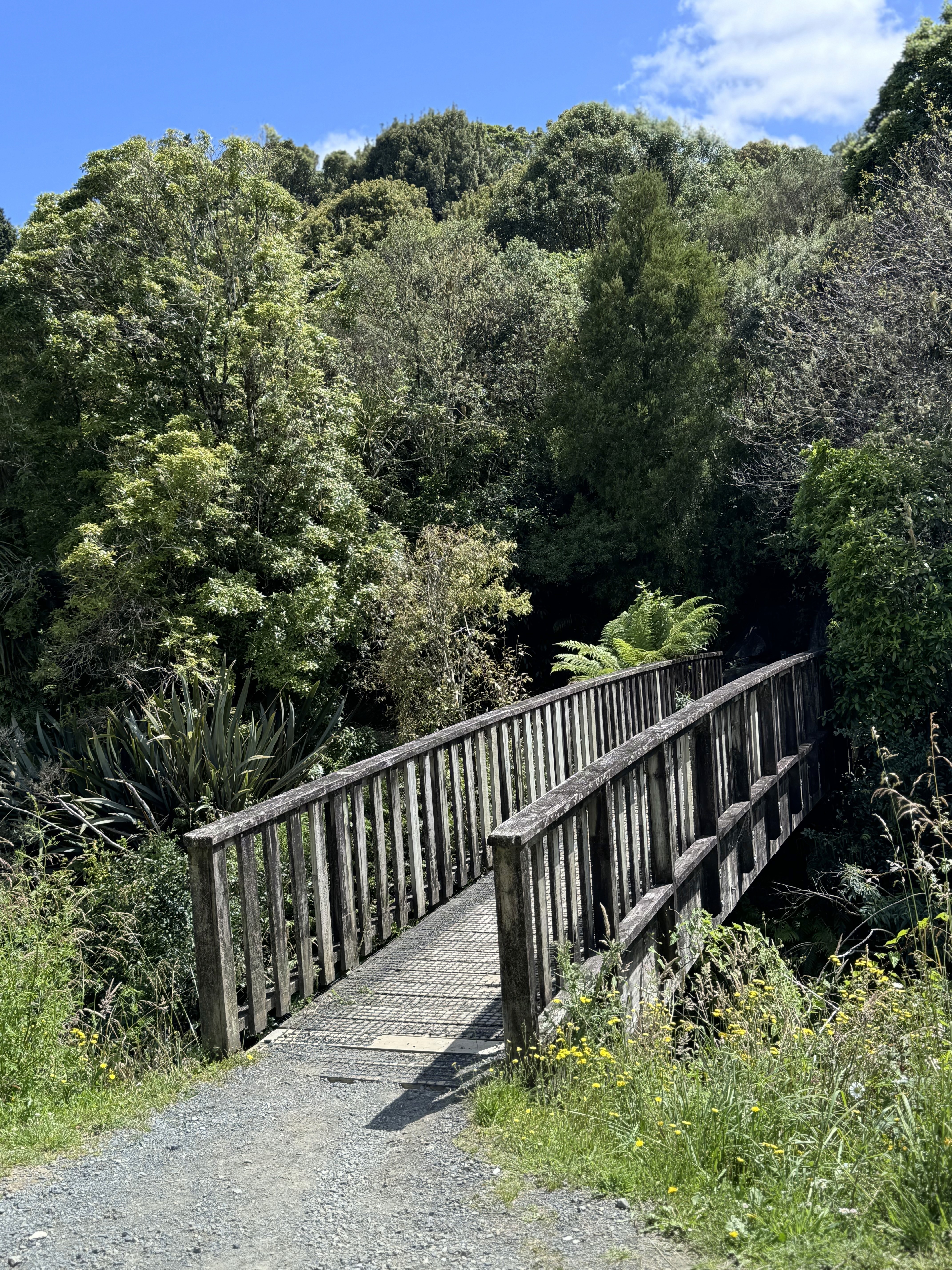 The wooden bridge at the entrance to the Mangapohue Natural Bridge Boardwalk