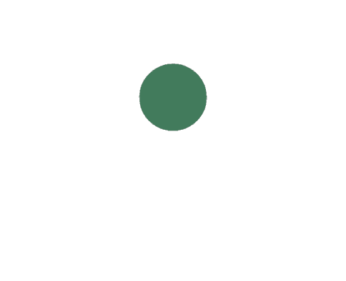 Tooth Icon