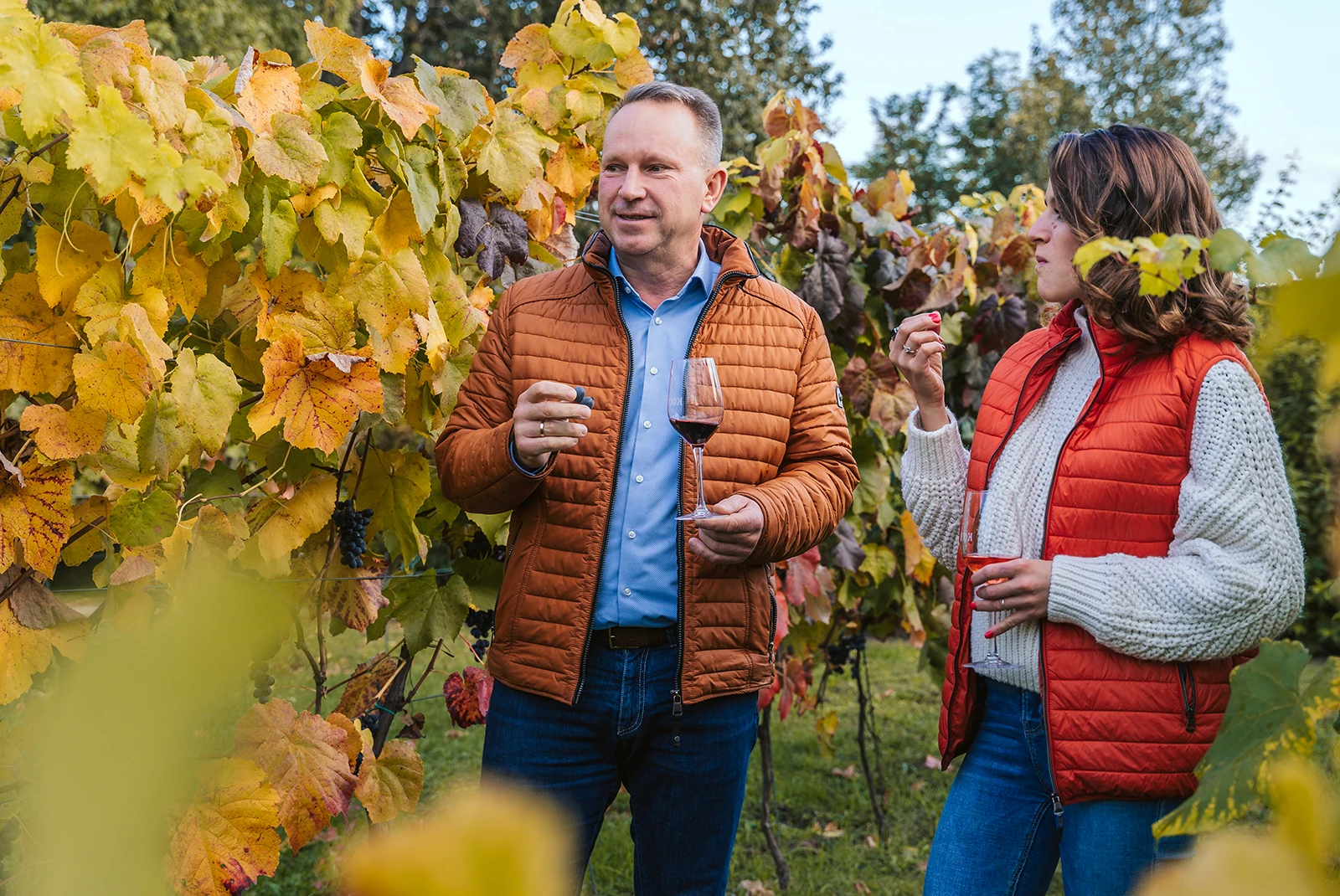 Koch Borászat Bor Fotó