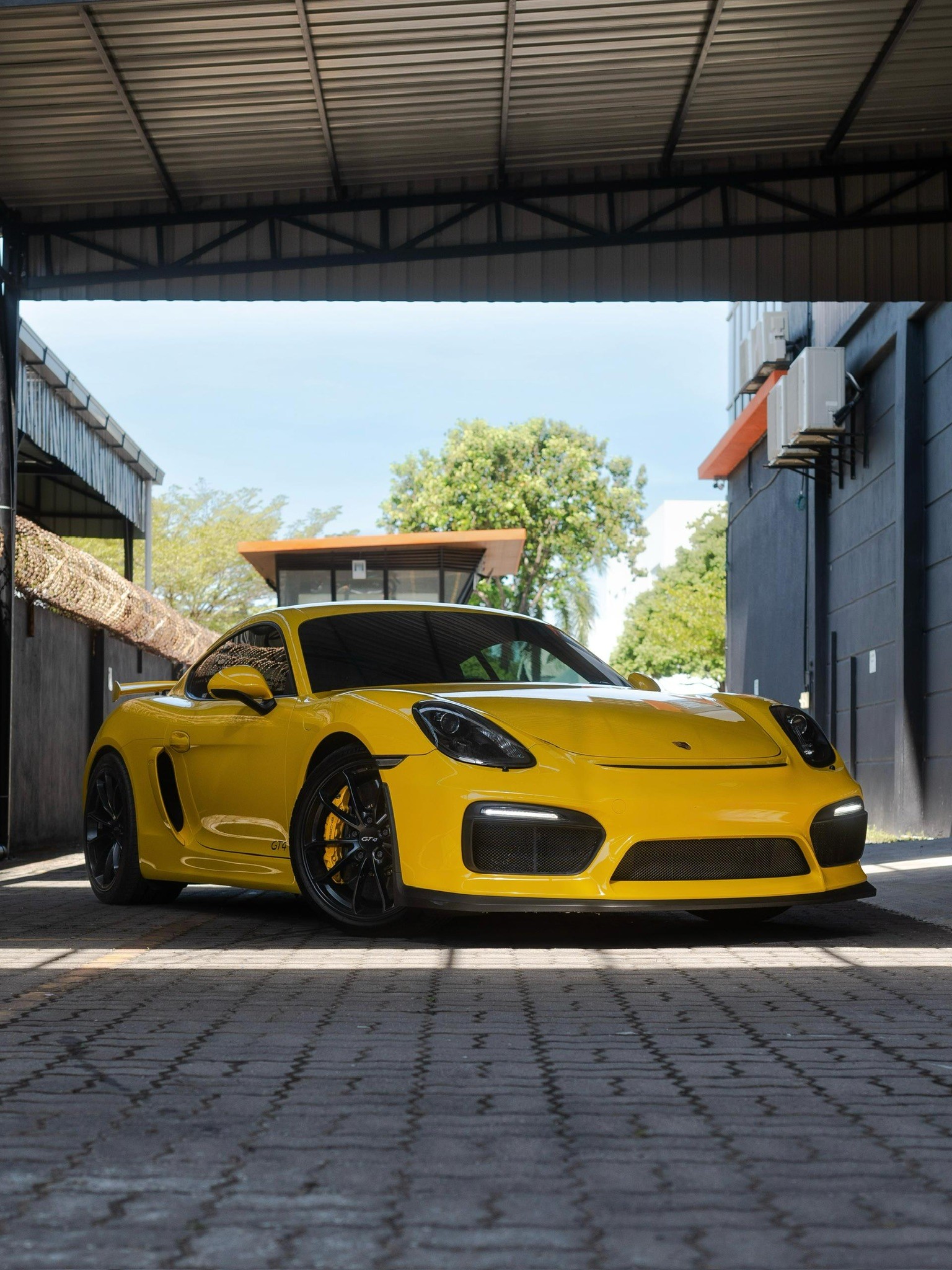porsche cayman gt4