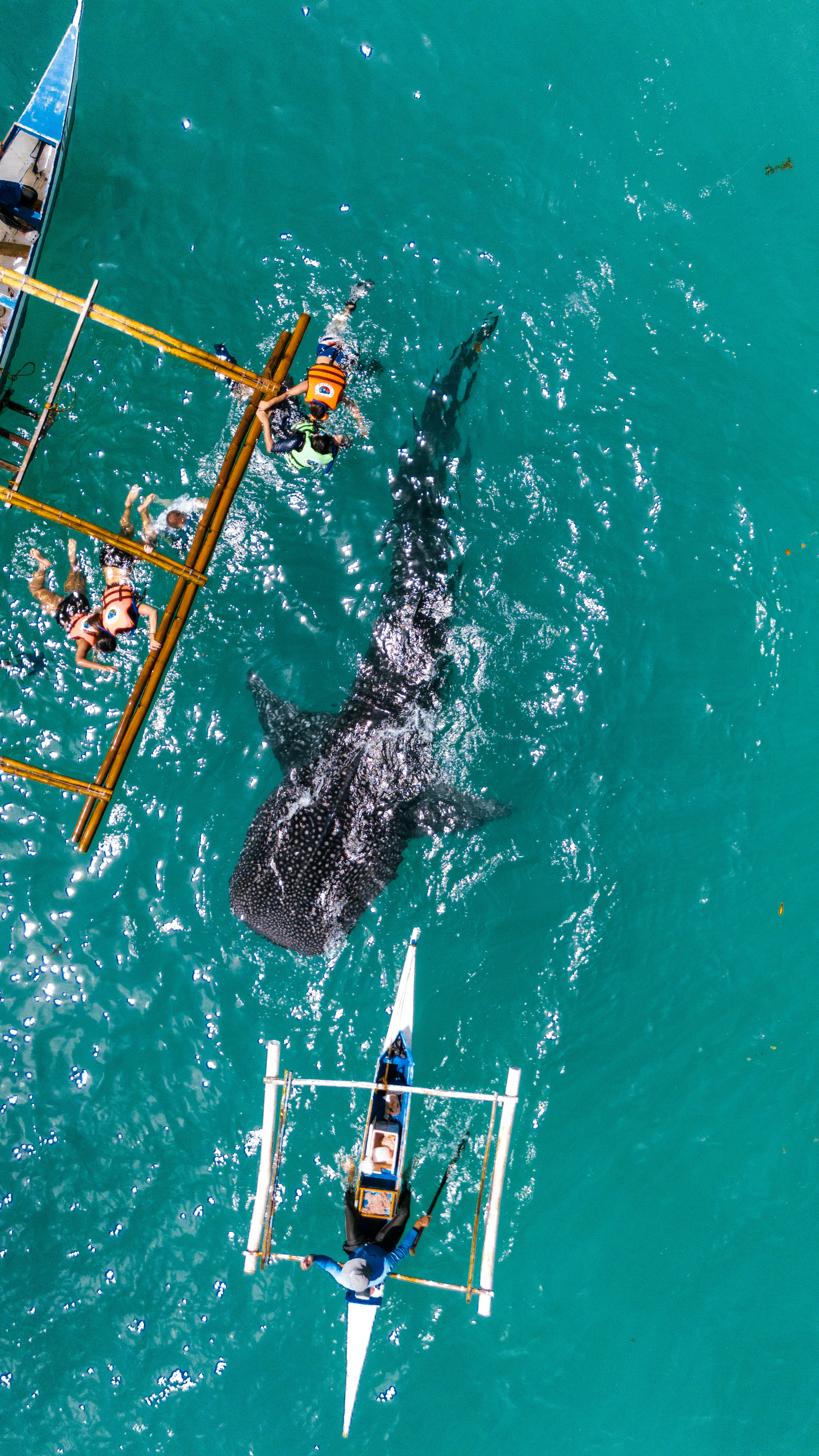 a large building with a statue in the middle of a garden