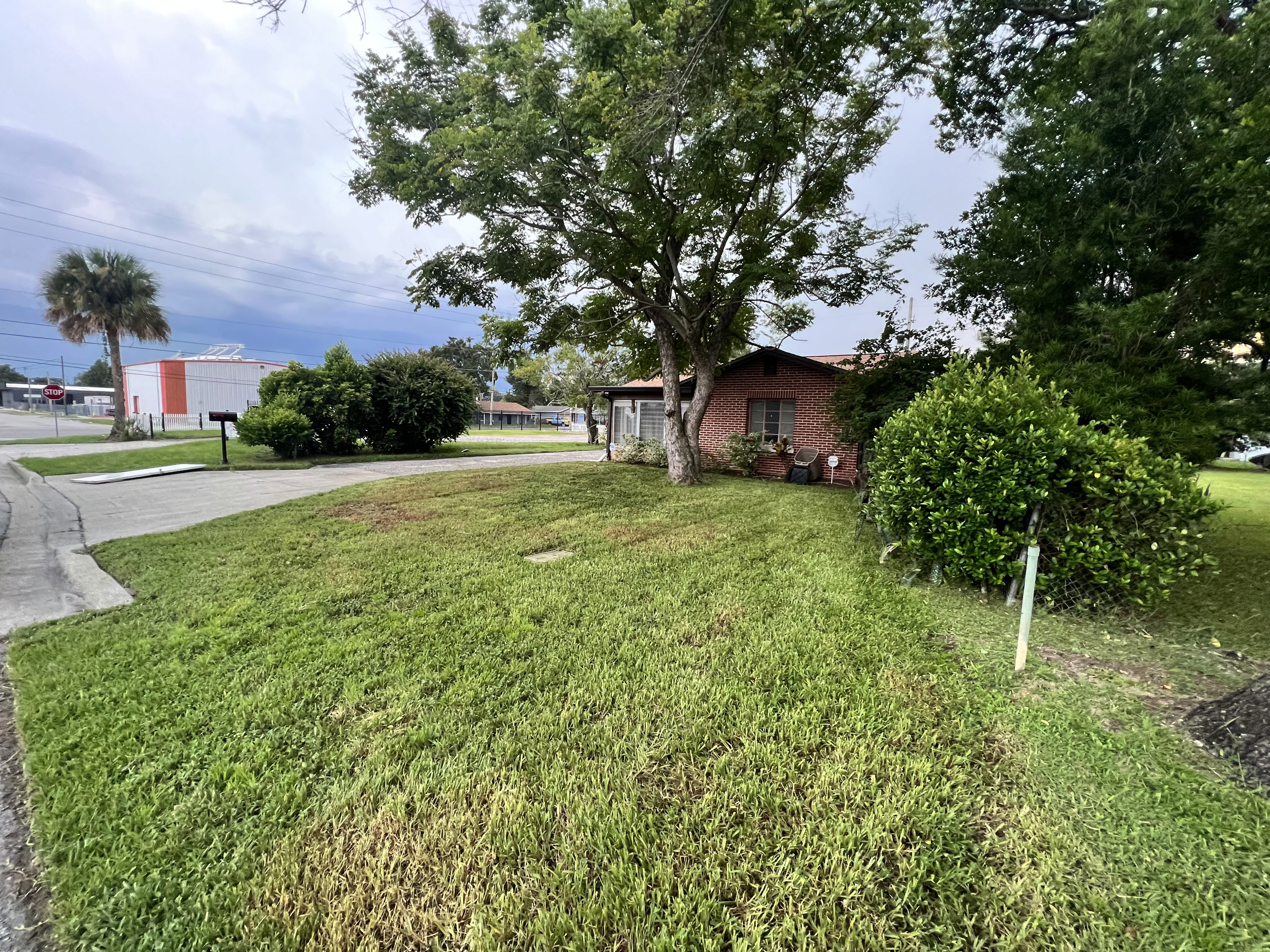 Lawn overgrowth clearing and yard restoration service Orlando FL