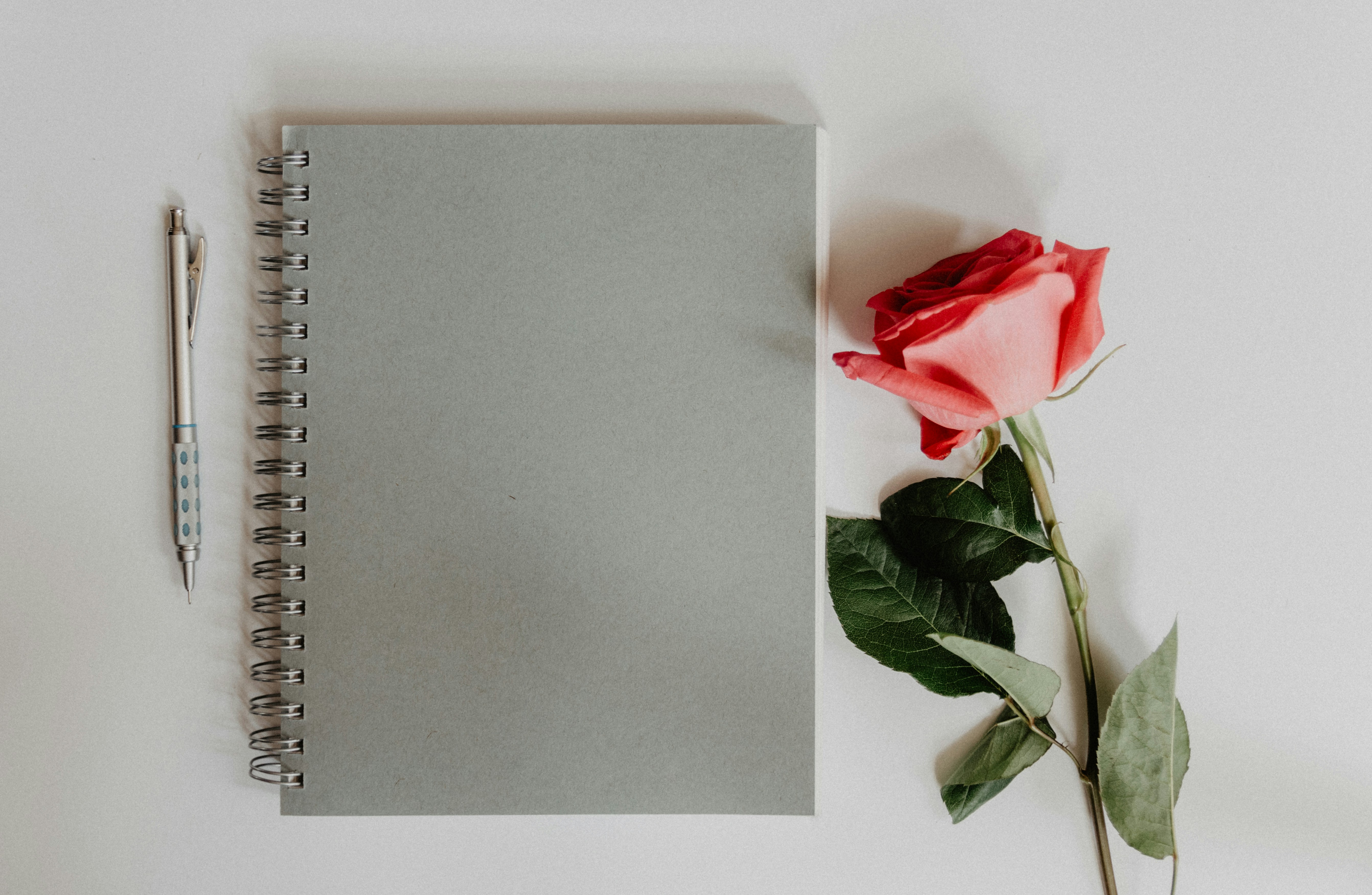 Picture with a rose and note book fro Cover letter